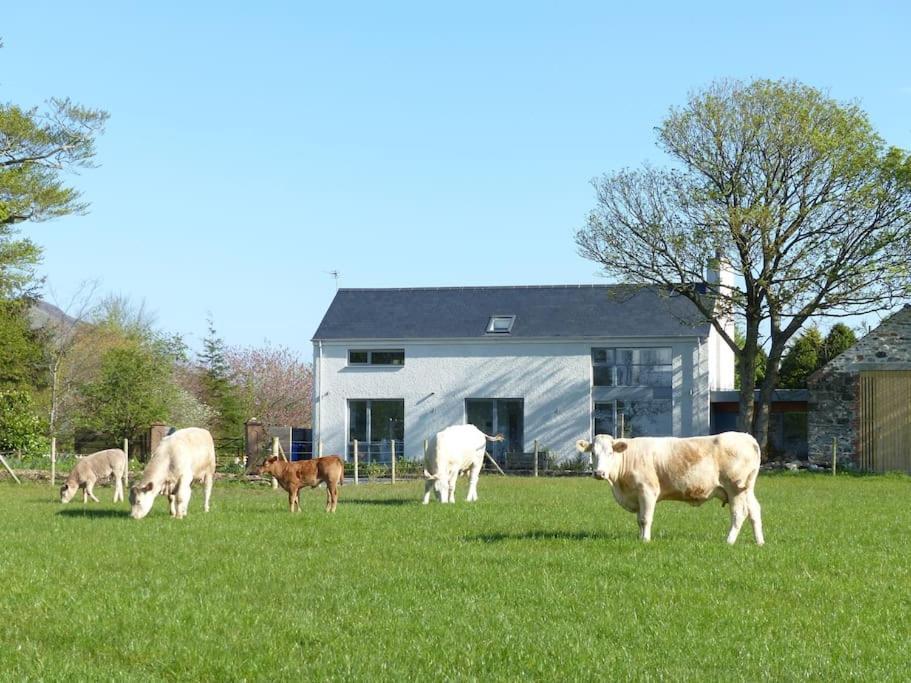 Barn Lane @ Drumagosker Rural Retreats Ardmore Екстериор снимка